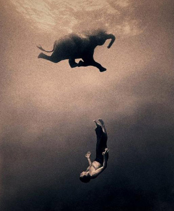 Three Things: Gregory Colbert photograph